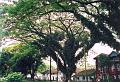 Kerala 4